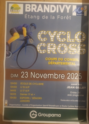 CX de Brandivy (La Forêt)