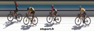 Picto-Charentaise